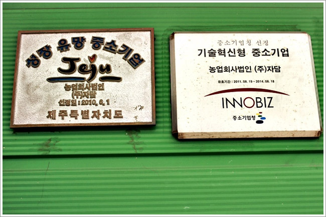 제주특별자치도개발공사(감귤1공장) 이미지