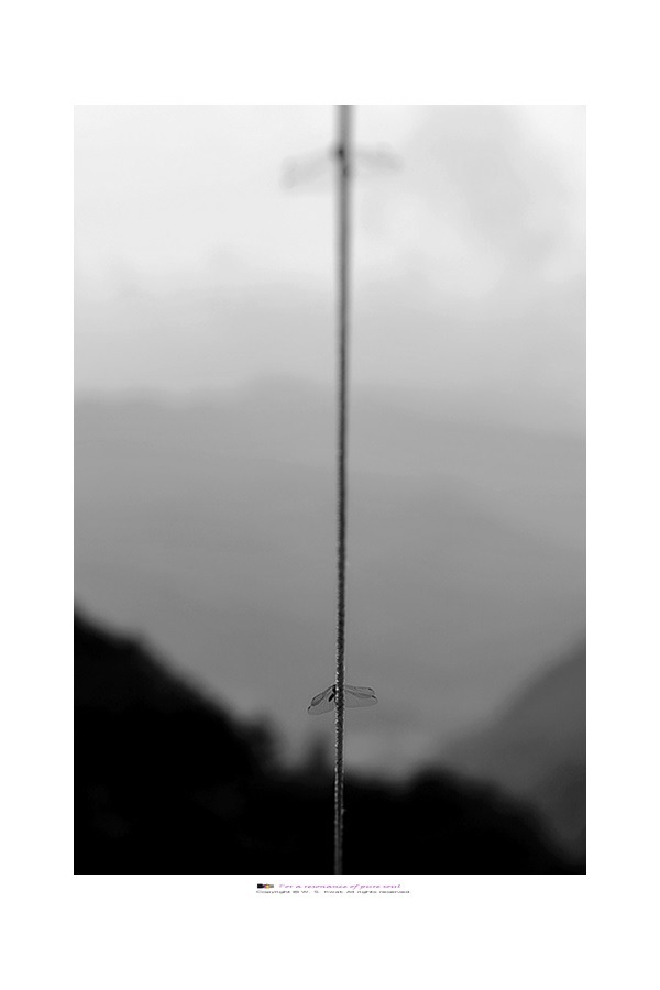 동당여름
