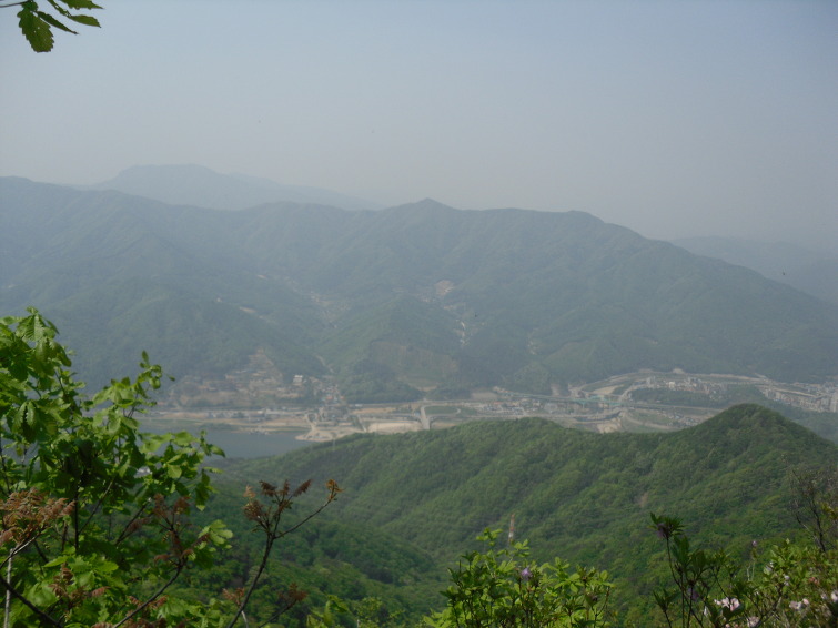 이미지