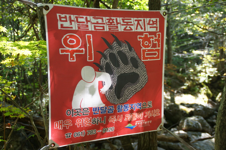 지리산 종주 세째날(장터목산장~천왕봉~유평리) : 지리산의 품에 빠져 무한행복을 느끼다(14.10. 3).