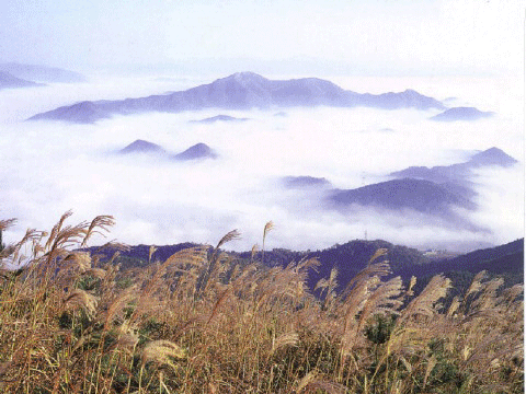 2405BB4A54DE9C4E0F74D1