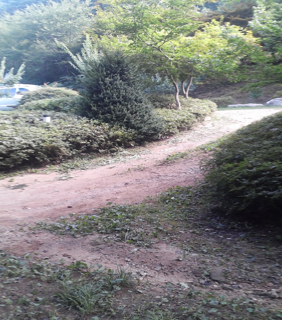  고향(봉화)