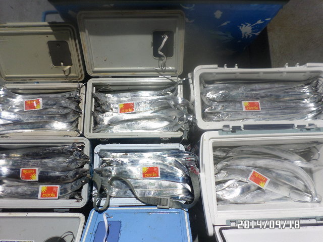 240DC33A541A07FC17510C