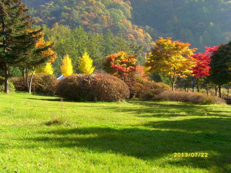     단 양  천 동 리 