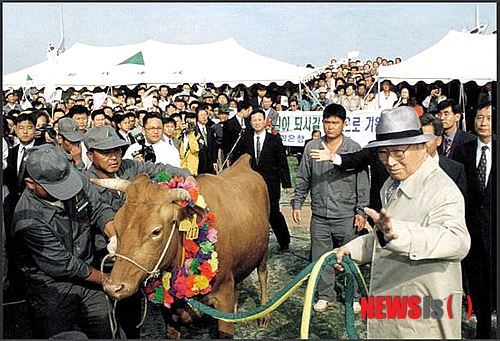 금화상회 이미지