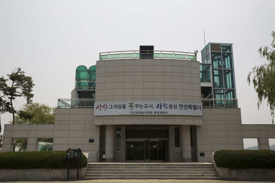 산책하기 좋은 안산습지생태공원 / 안산둘레길, 갈대습지길