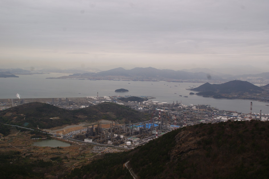 여수 영취산의 화사한 진달래에 마음을 내려 놓다(15.4.4)