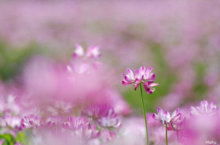 2523444F51A6EC2B38C8A3