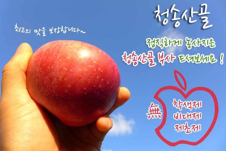 정이용원 이미지