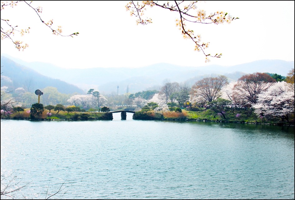 도원환경 이미지