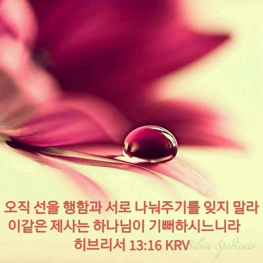 삶에 힘이되는 은혜로운 성경말씀 모음(+) 사진첨부