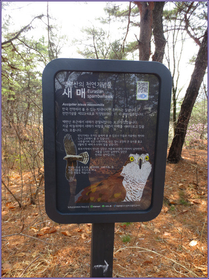 초록숲 이미지
