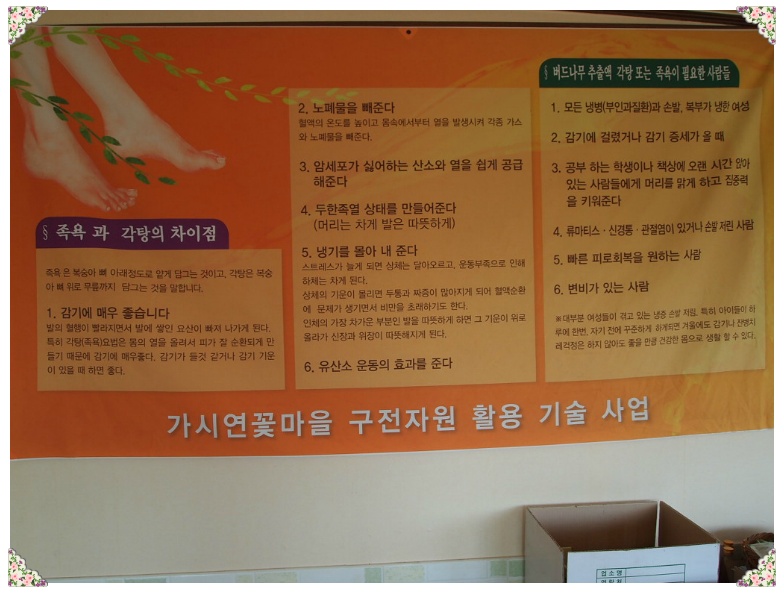 버들국수 이미지