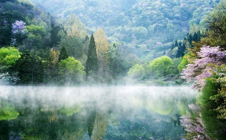 261DD04D52A50DF909DA73