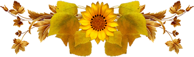 26368B4552200A2C3B6F72