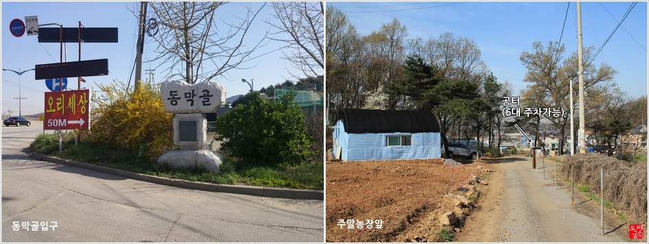 너구리산 이미지