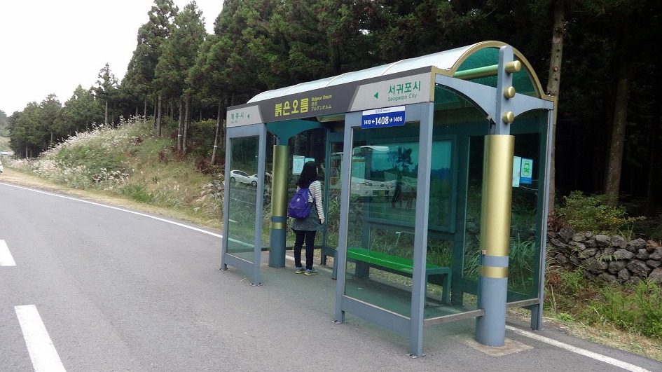 재주도여행 마지막날 제주산 돼지고기로 마무리한다