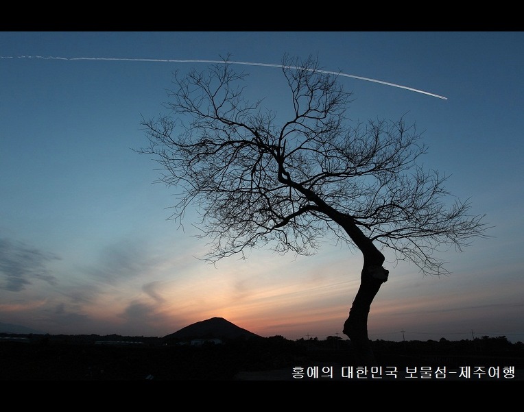 갤러리 홍예 이미지