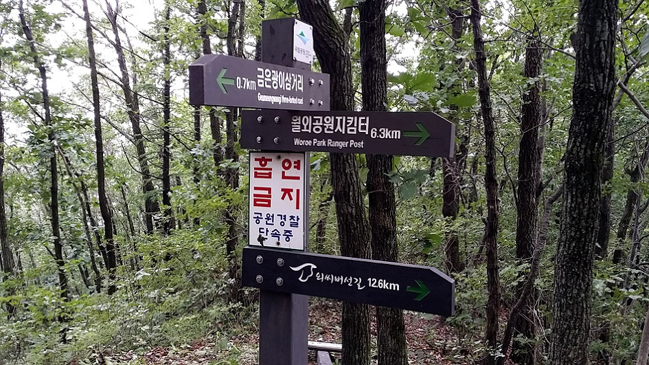 267BDA3855E03D921F3071 267BDA3855E03D921F3071