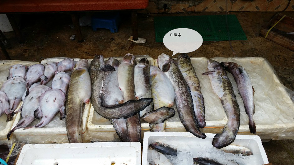 모리식당 이미지
