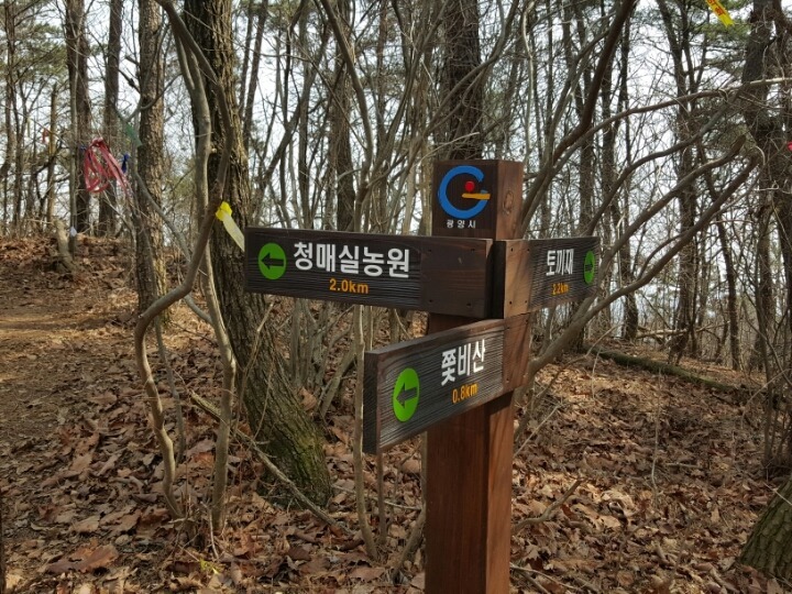 the-조은산우회 | 제420차 광양 쫓비산(섬진강 매화축제)행 안내(2017.03.05) - Daum 카페 제420차 광양 쫓비산(섬진강 매화축제)행... 