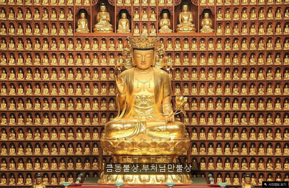 정원