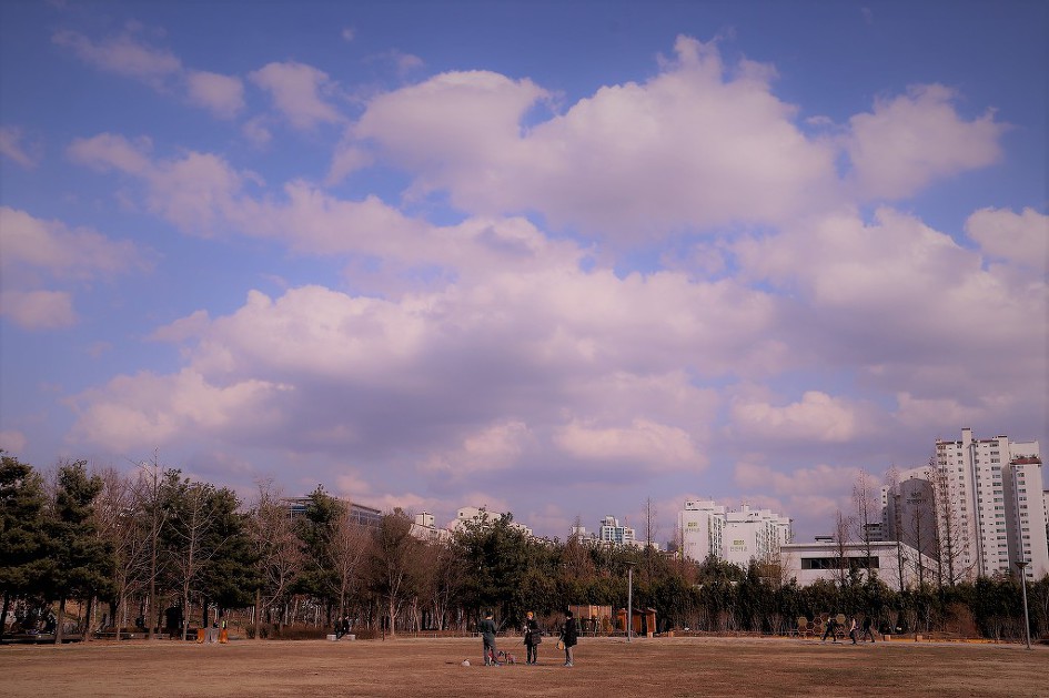 1년 전, 뚝섬 '서울숲의 봄' 풍경을 리뷰하였습니다.    (20180314)