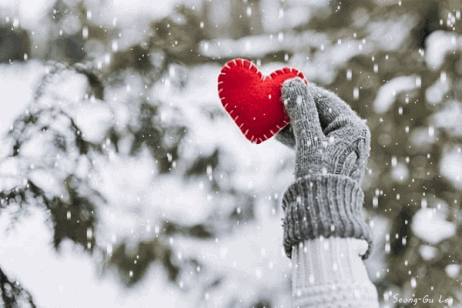 991FCE4C5DE107E119FB3F