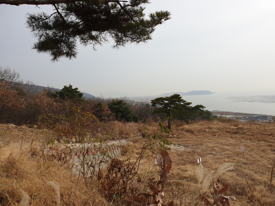 사진보기