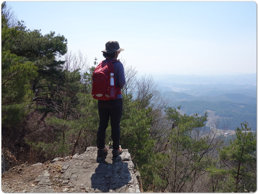 솔숲속 진달래 절정의 진주.작은 방어산~괘방산