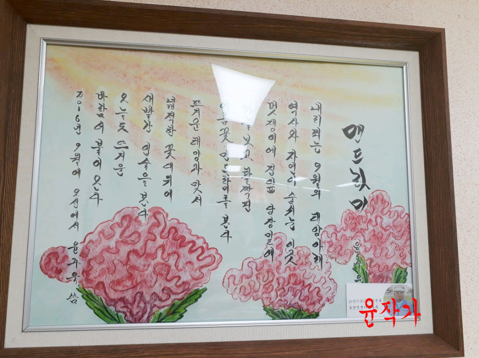 맨드라미 꽃,윤작가,작