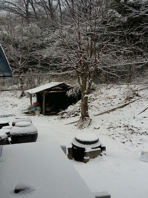 인생은 바람, 구름 인것을 