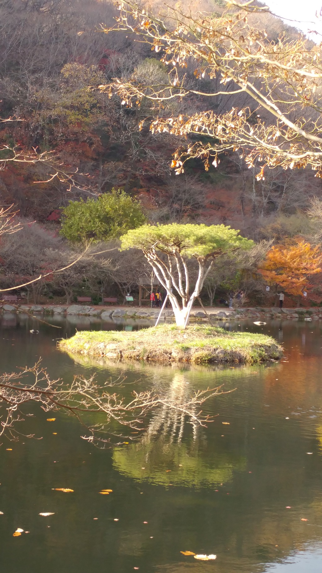 백양사