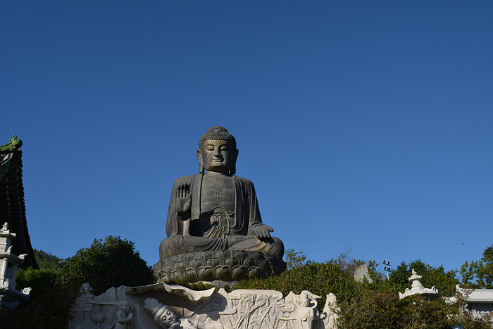 원본이미지(클릭)
