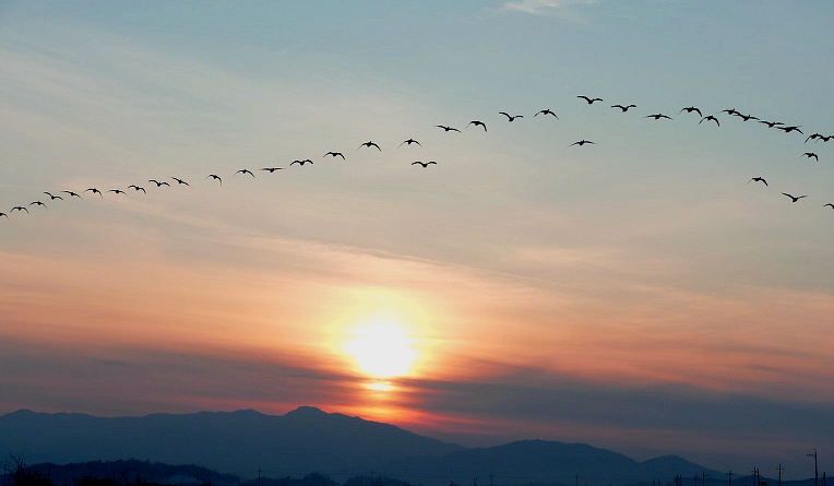 9962FA355DF4F5A8291A3D