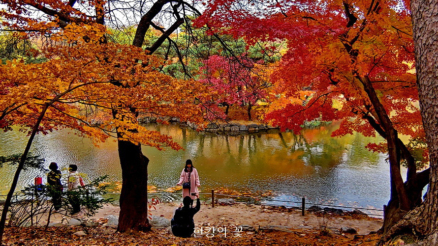 창경궁의 가을색