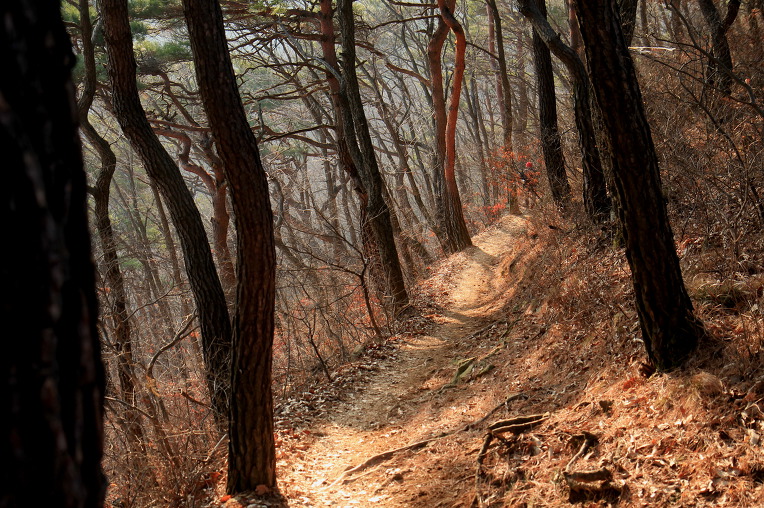 * 천안 광덕산 산행기