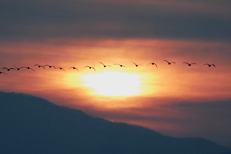 9977BD3A5DF4F5692BCF74