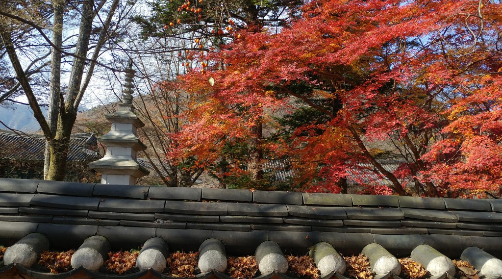 내장산
