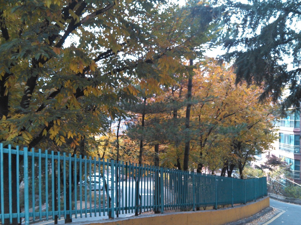 17.11.7(火)