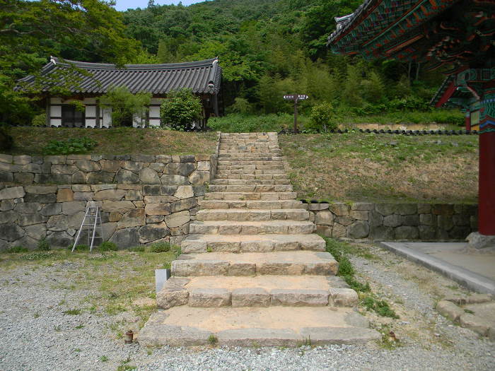 함평 모악산 용천사 (대웅전, 꽃무릇)