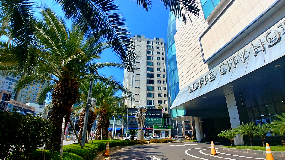 제주도의 봄날은 날 유혹하였다