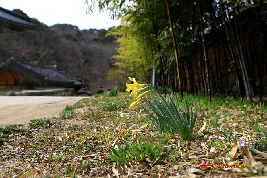 봄철 환경켐페인..2019.03.08