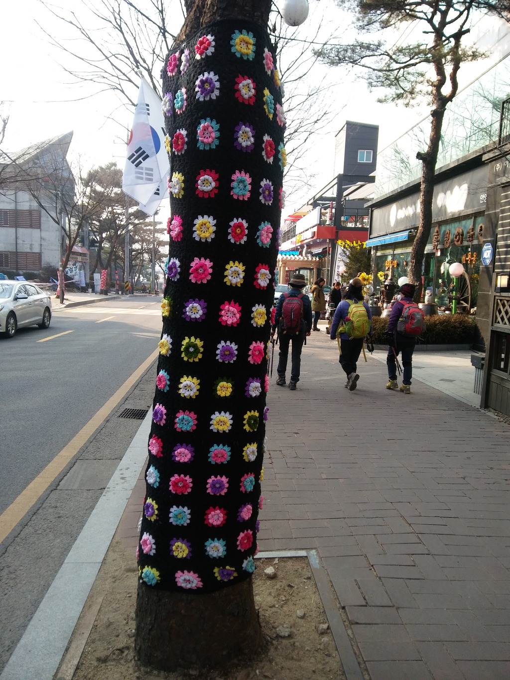 2019 년  1  월 12 일  갈멜산  