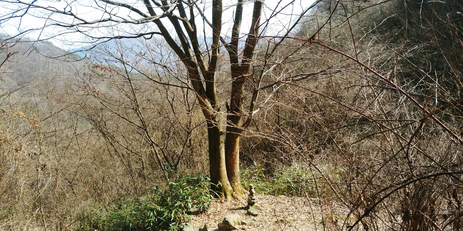 진안 구봉산 등산