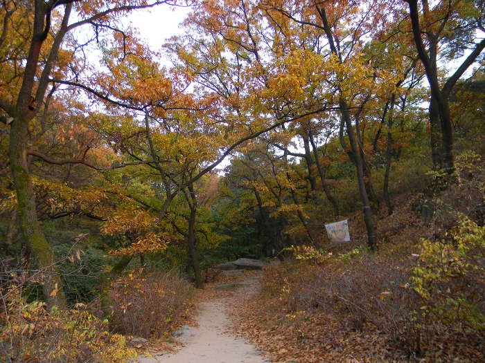 만추에 잠긴 북악산 백사실계곡 (백석동천, 백사폭포)