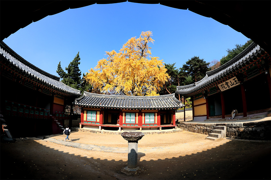 [사적 제154호  경주 옥산서원] DPAK(한국디지털사진가협회) 경북지부 회원들과 옥산서원으로 가다 / 토함