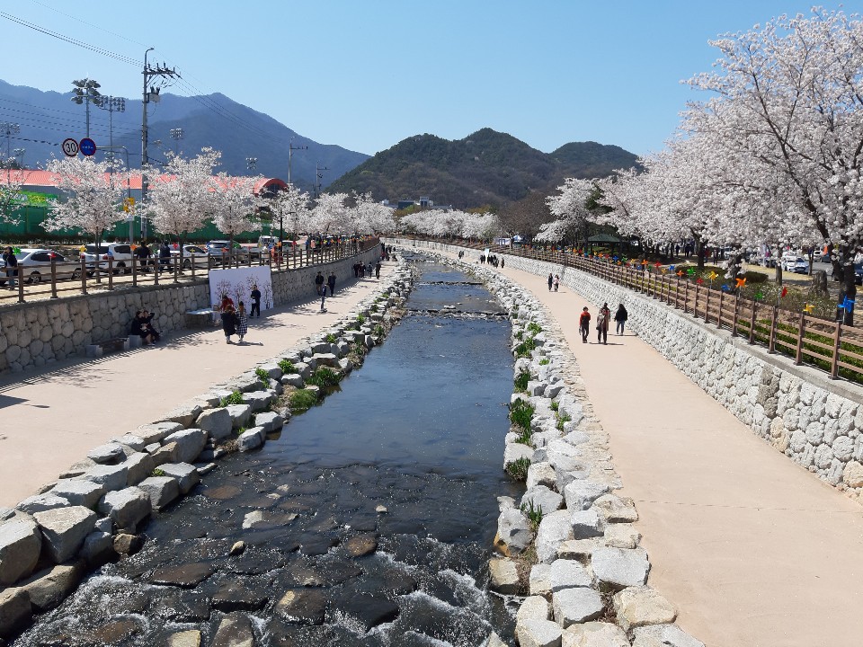 ''오셨군요 봄님''