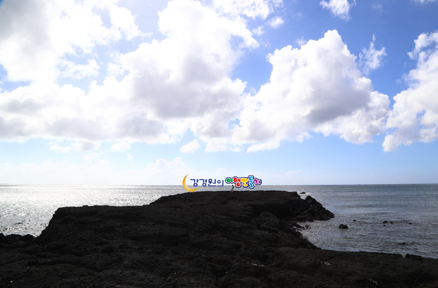 화산섬 제주도 가볼만한곳 용암이 만들어낸 절경 월령리 섭지코지 조록코지 천연기념물 월령리선인장마을