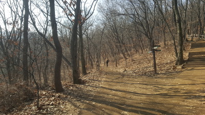 [영어명언] Publilius Syrus